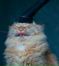 Фотография Лидия Григорьева