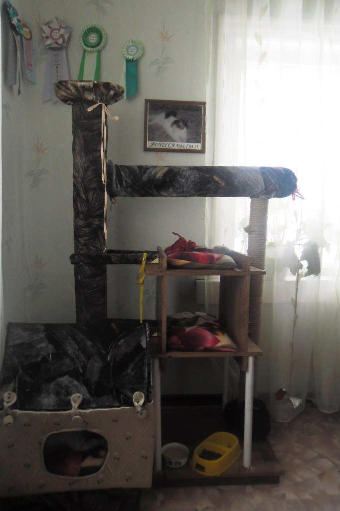 Зоя Мелкуева | Олонец