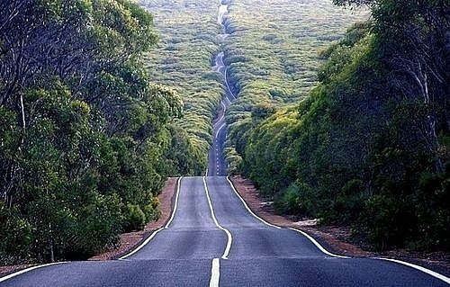 Алина Полыхаева | Днепр (Днепропетровск)