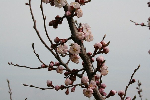 Денис Карасев | Чертково