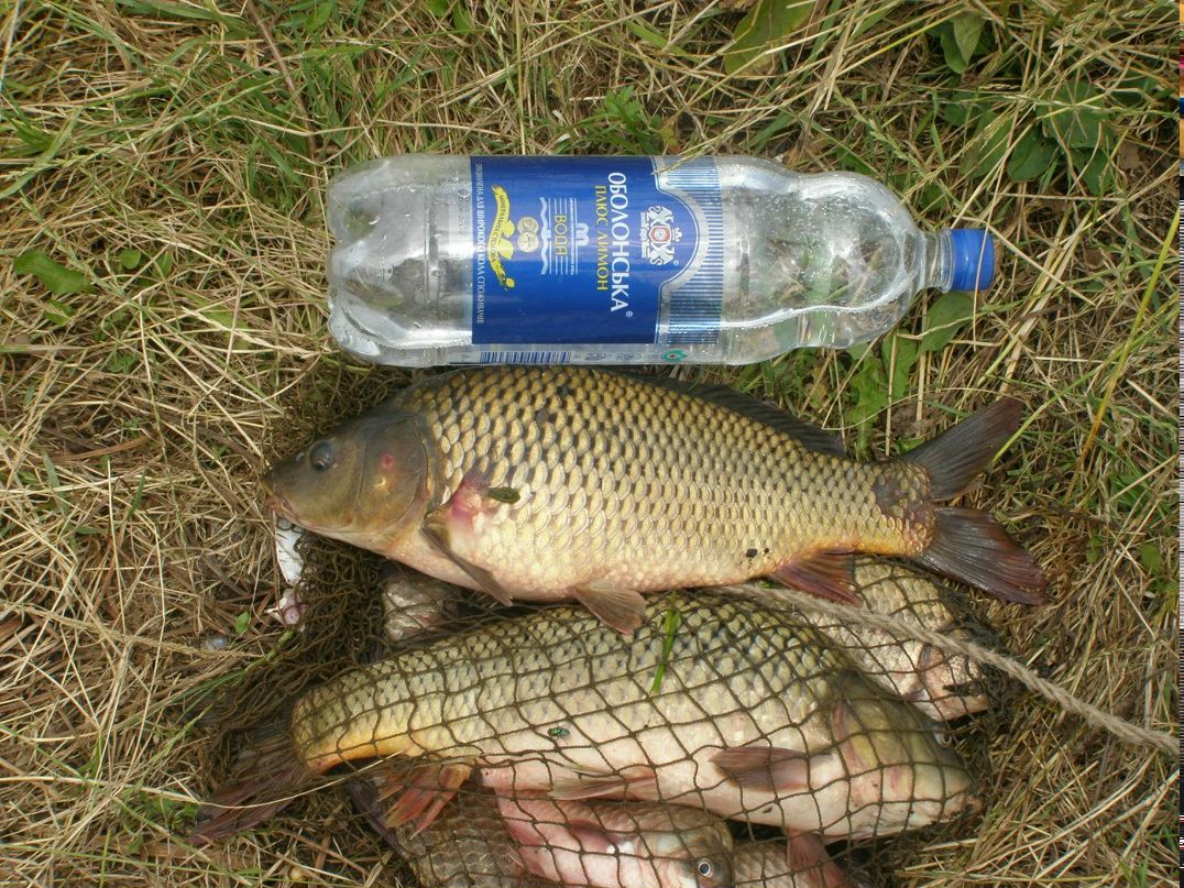 Юра Змиевской | Харьков