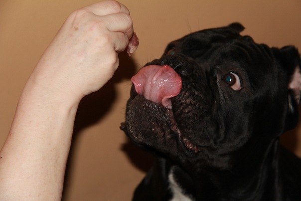 Александр Пшеничный | Санкт-Петербург