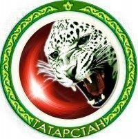 Дамир Музафаров ☾★ | Лесосибирск