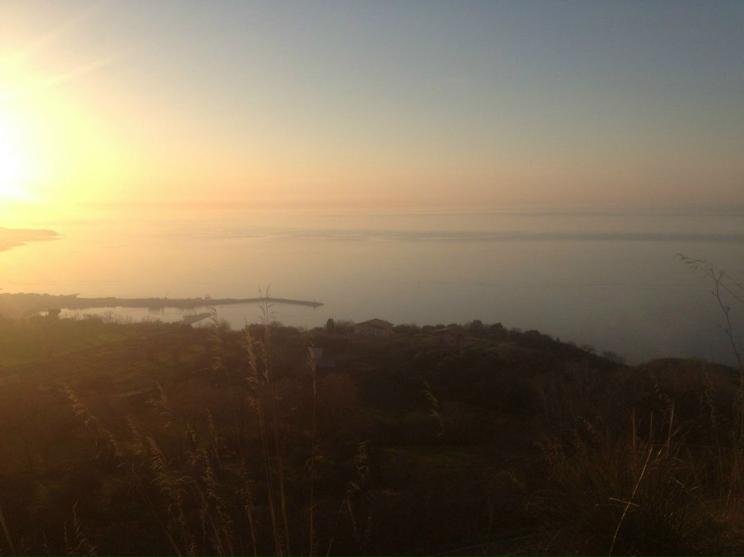 Нено Туцик Турок | 