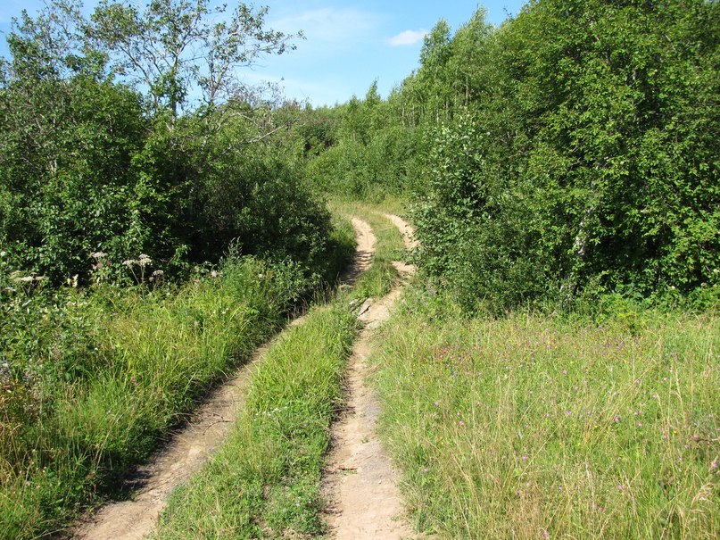 Владимир Юрчук | Санкт-Петербург