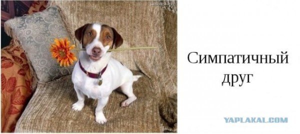 Михаил Волков | Асино