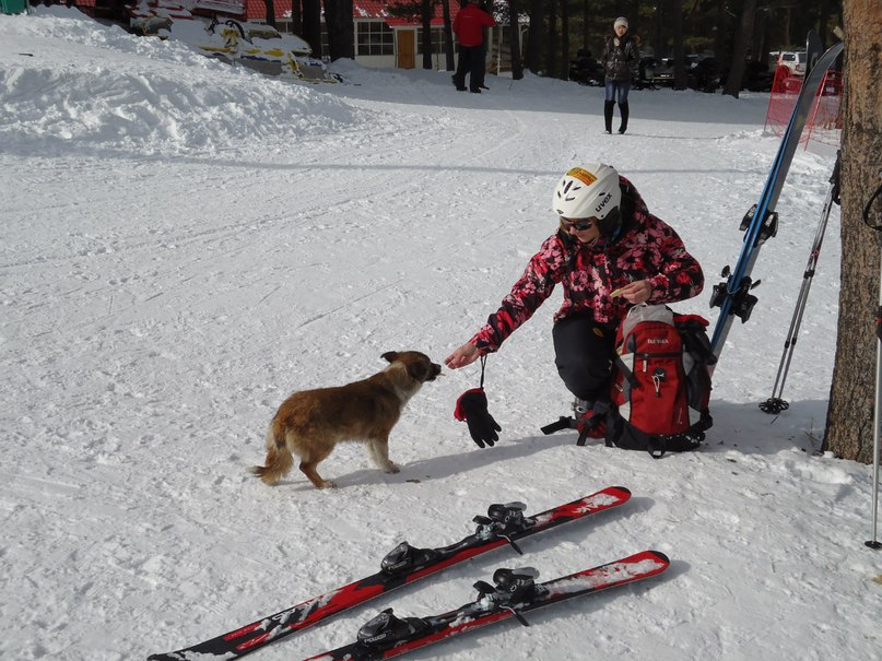 Сергей Квятковский | Уфа