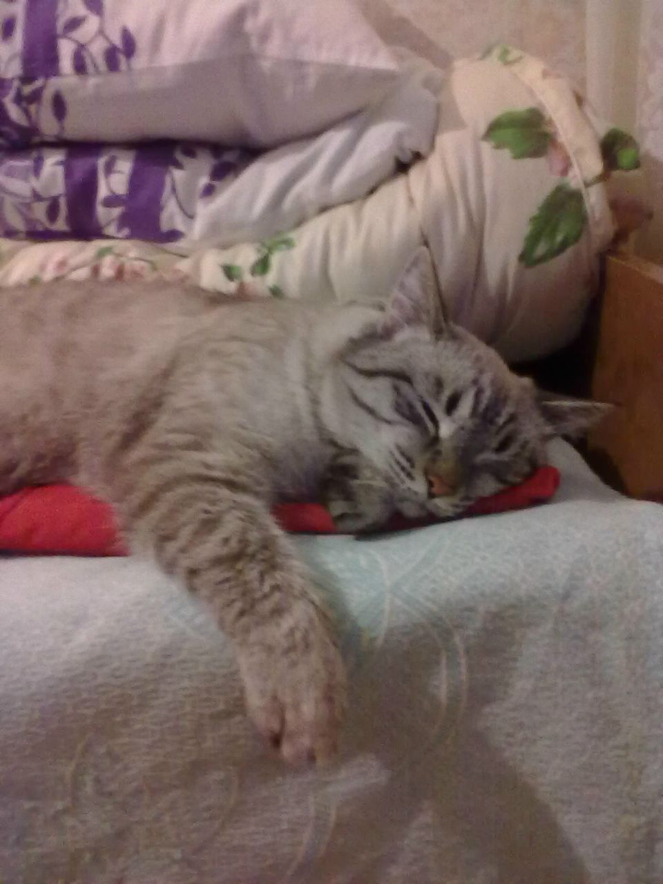 Алия Байрамгулова | Уфа