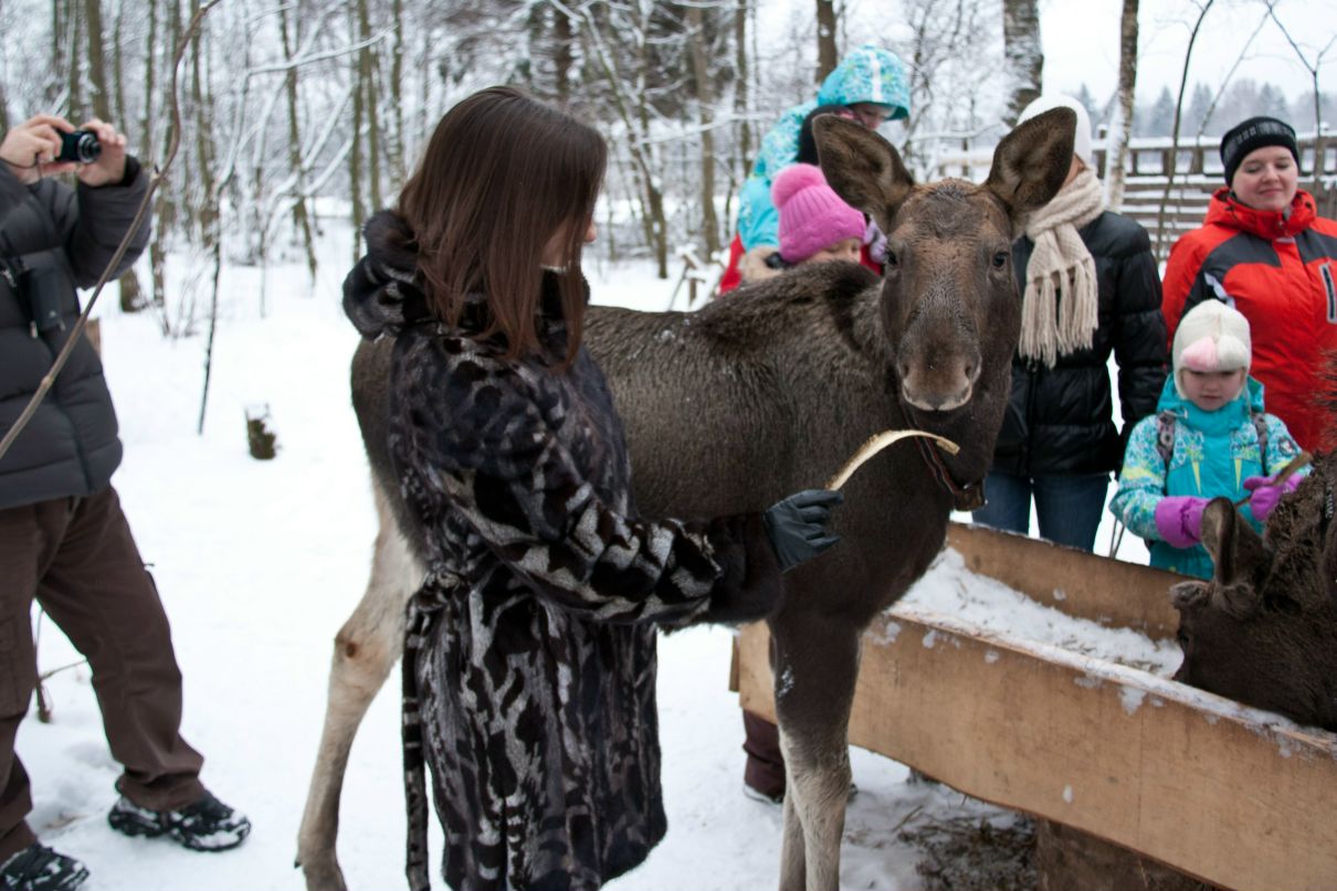 Екатерина Семина | Москва