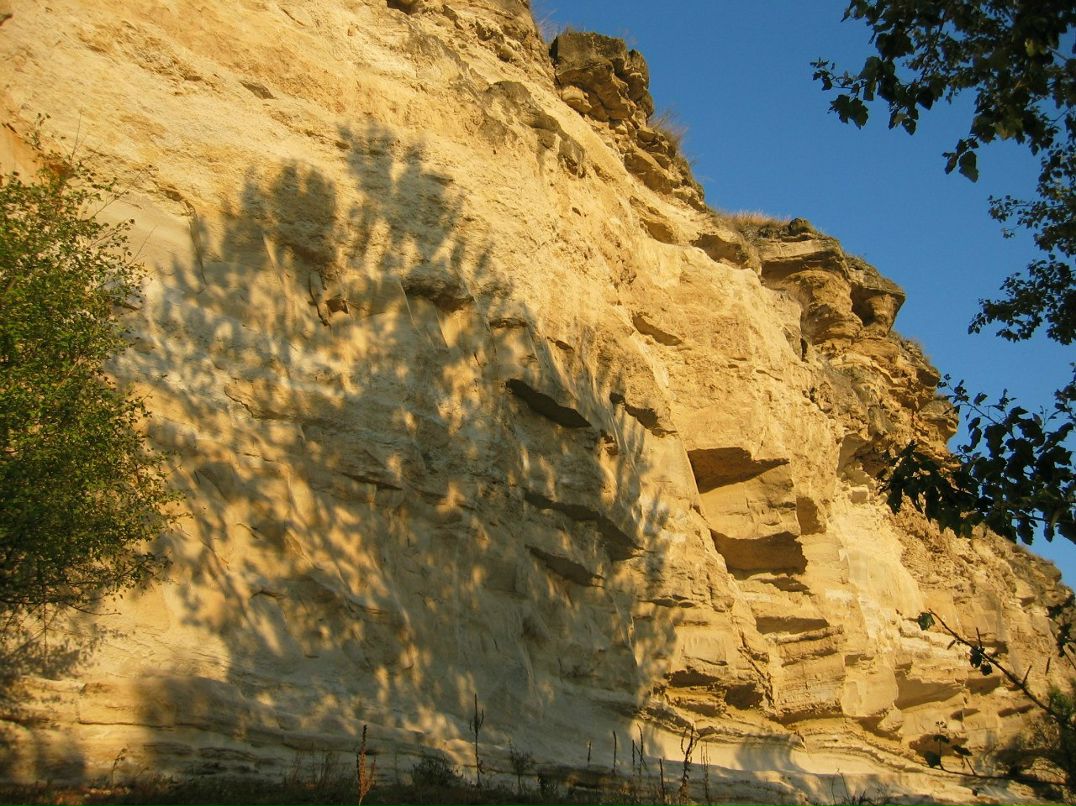 Игорь Голощенко | Тирасполь