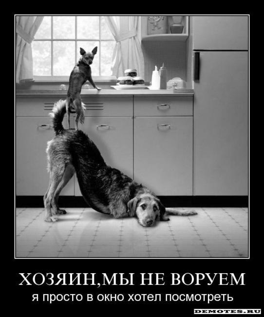 Алексей Шихирин Professuro | Москва