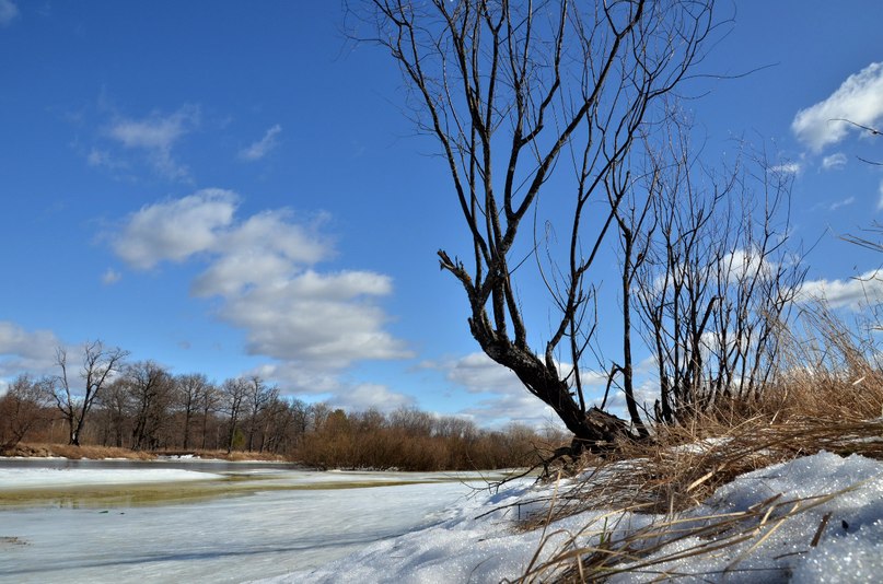 Николай Геращенко | Новозыбков