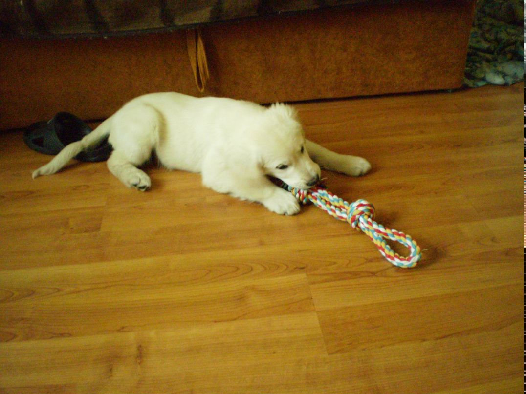 Ольга Тесленко ● • ˜ Оленька ˜ • ● | Харьков