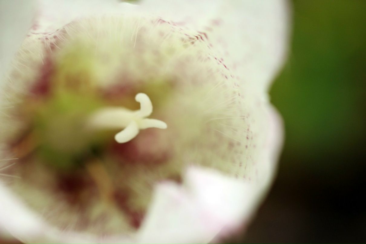 Туяра Андреева | Якутск