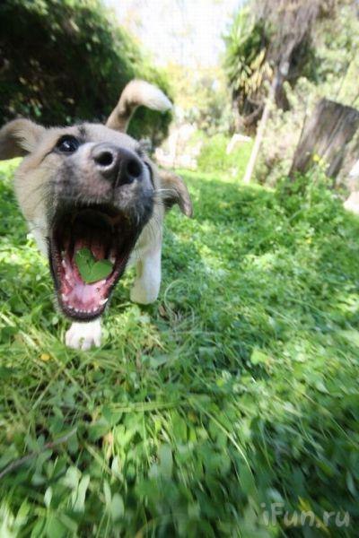 Владимир Нечиненный | Тула