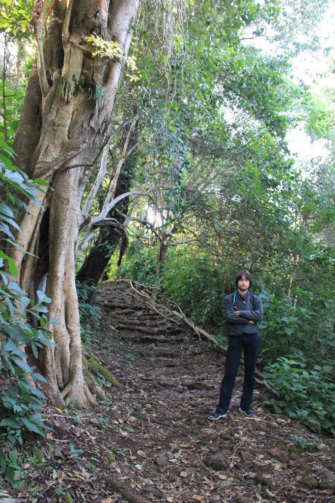 Леонид Цуканов | Москва