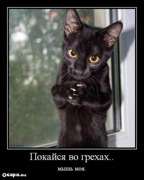 Женя Жупаненко | Октябрьское