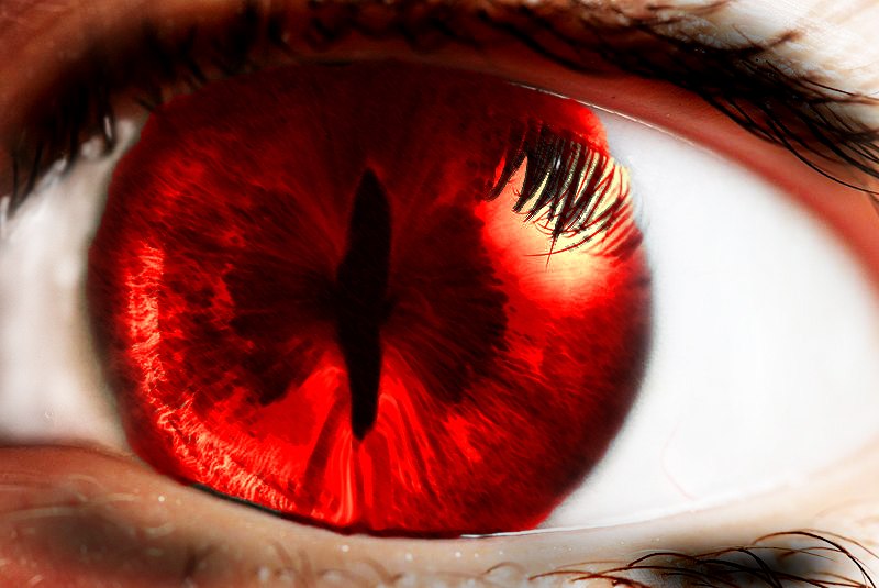 Дарья Якушева | Саратов