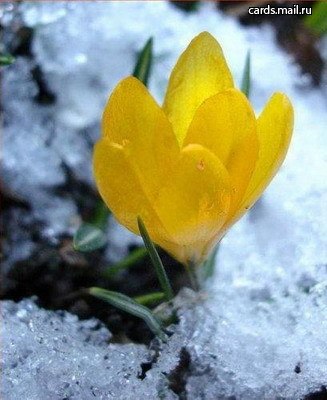 Василий Иванов | Москва