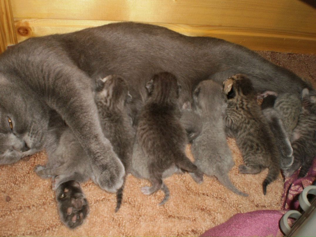 Лидия Барынина | Москва