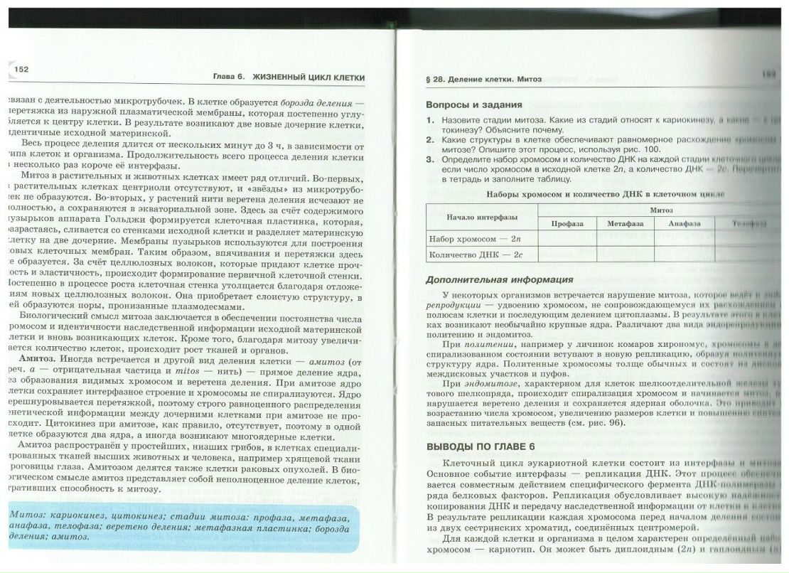 Юлия Стунеева | Москва