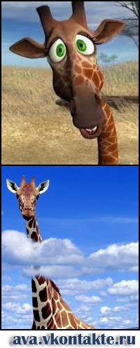 №1, Тимофей Медведев, 35 лет, Иркутск №1, Тимофей Медведев, 35 лет, Иркутск