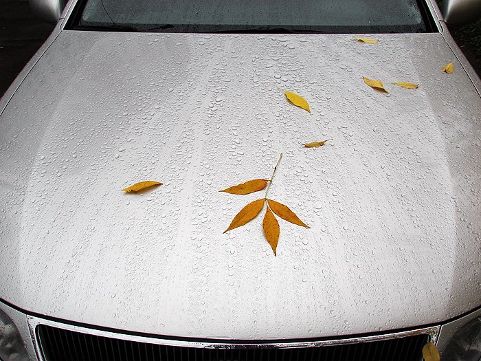 Jenek Gilevic | Warszawa