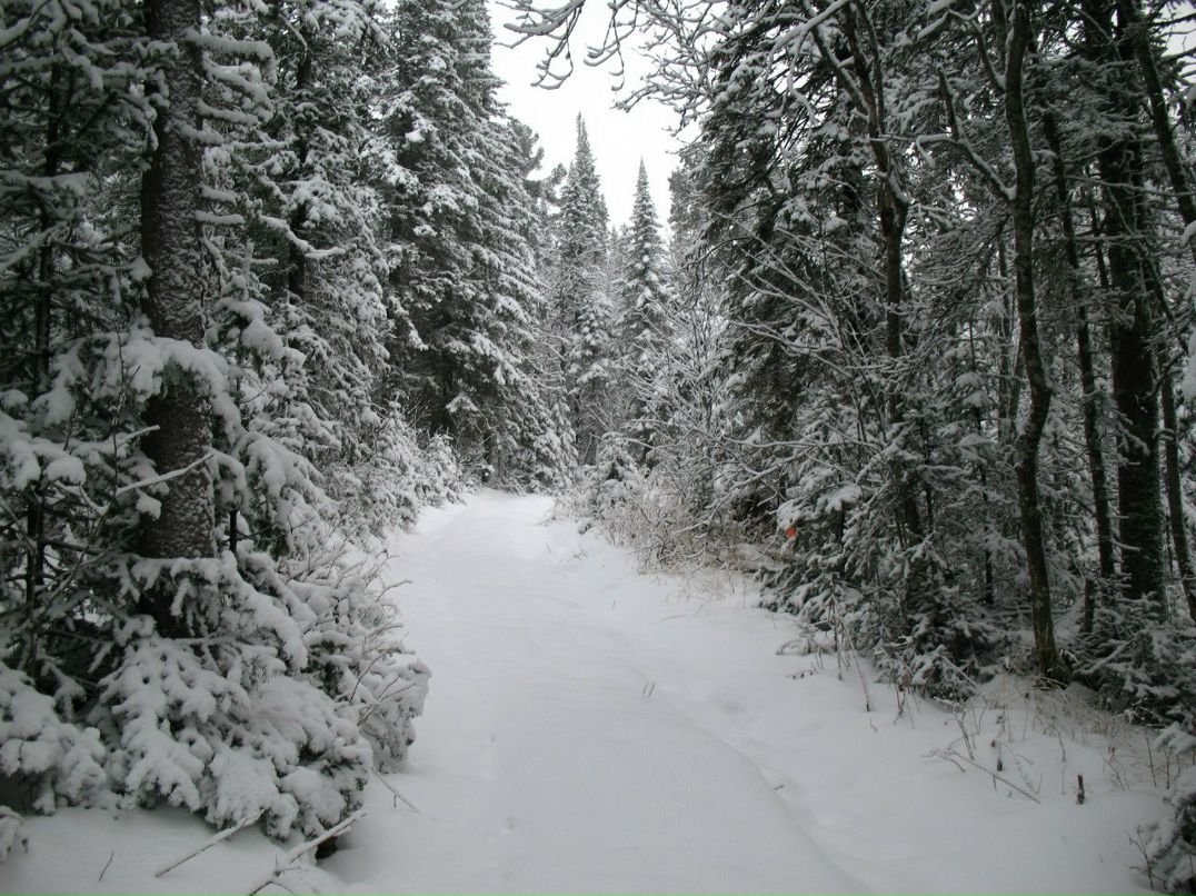 Юлия Колесник | Екатеринбург