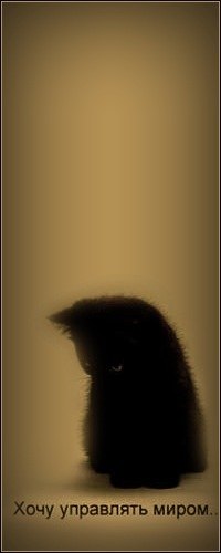 Эстэр Тома | Казань