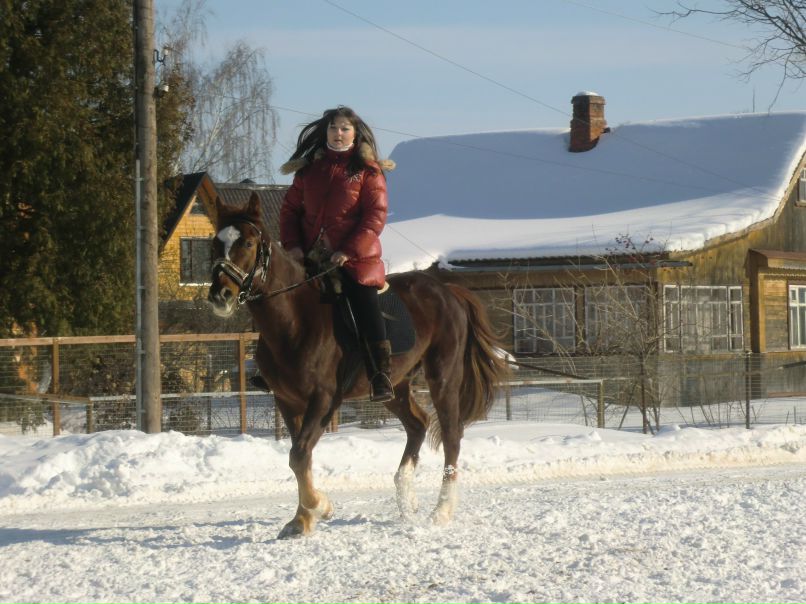 Галчёнок Лисина | Москва