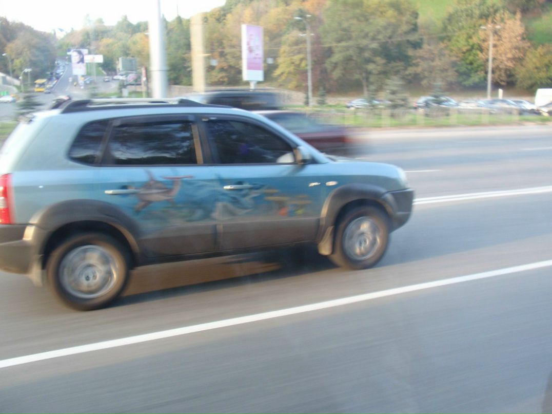 Валерія Залевська | Белая Церковь