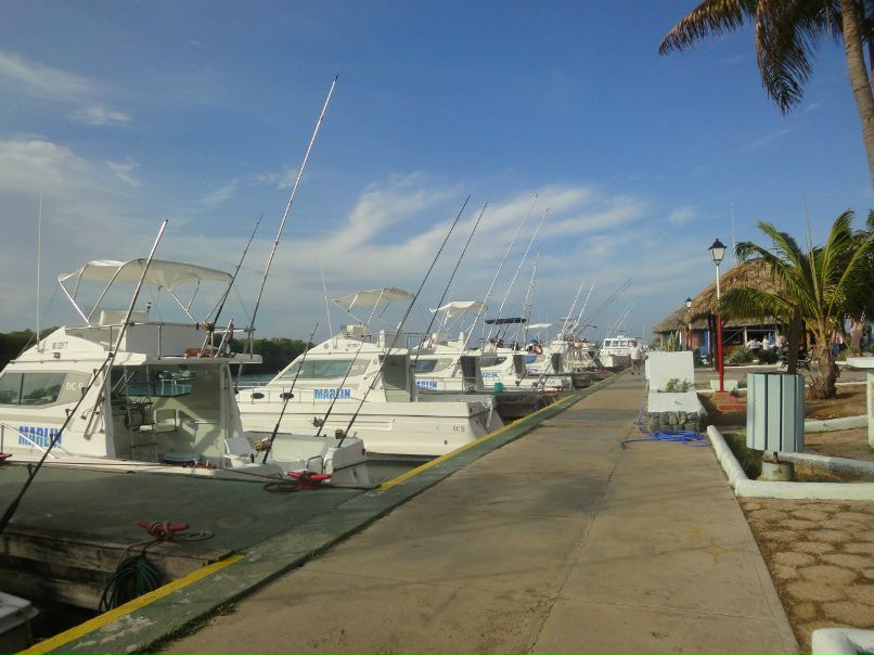 Рома Дашкевич | Мурманск