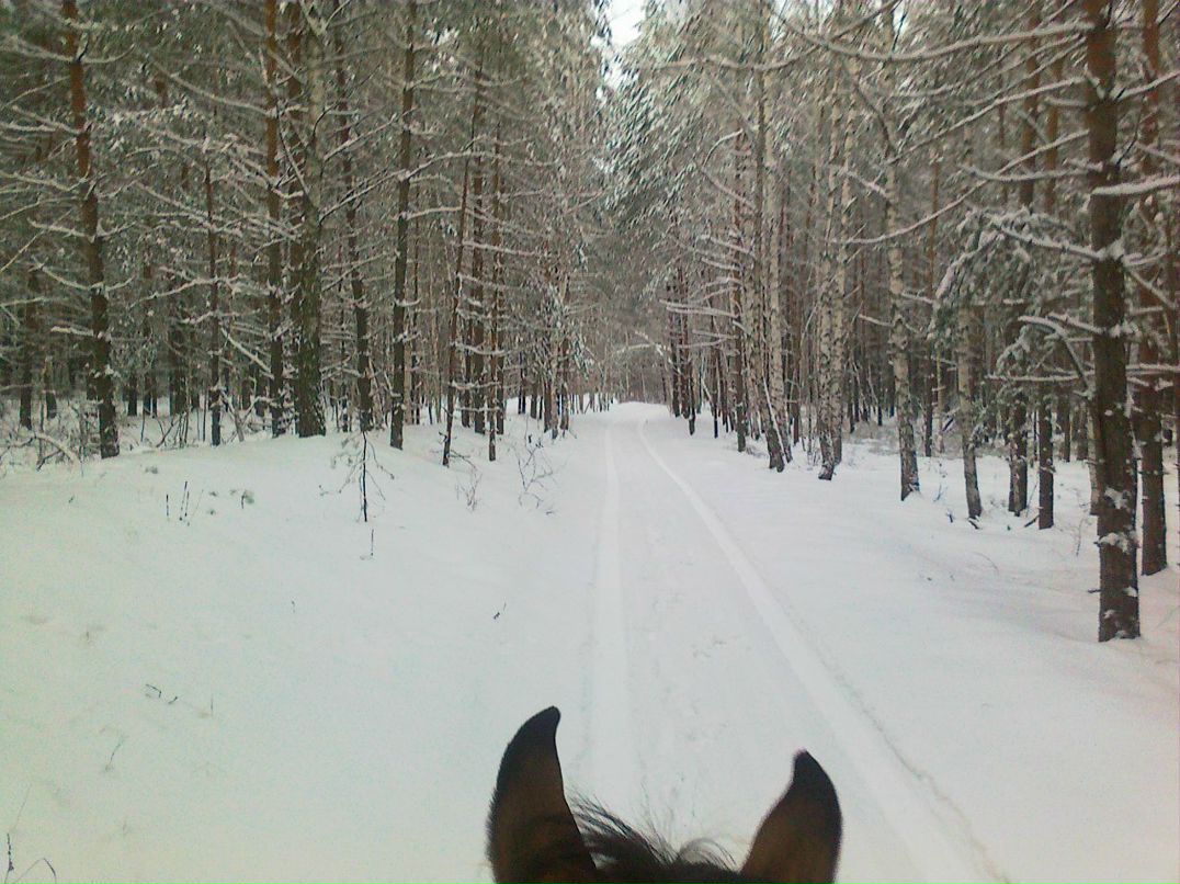 Олег Асташин | Ульяновск