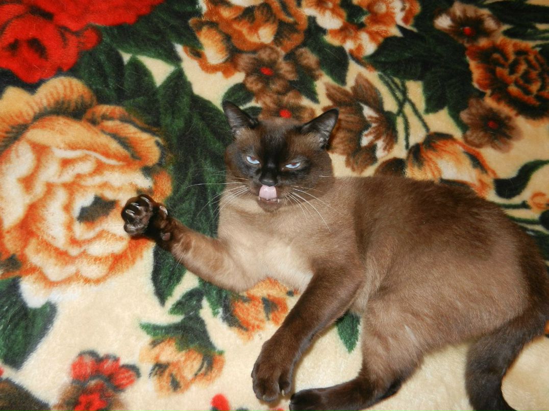 Ольга Федосеева | Себеж