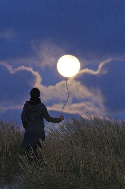 Александр Патриков | Харьков