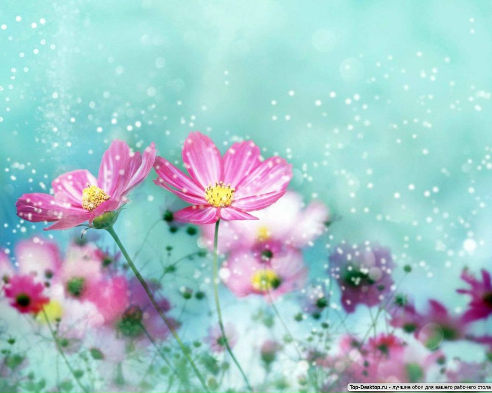 Инна Бонадысева | Макеевка