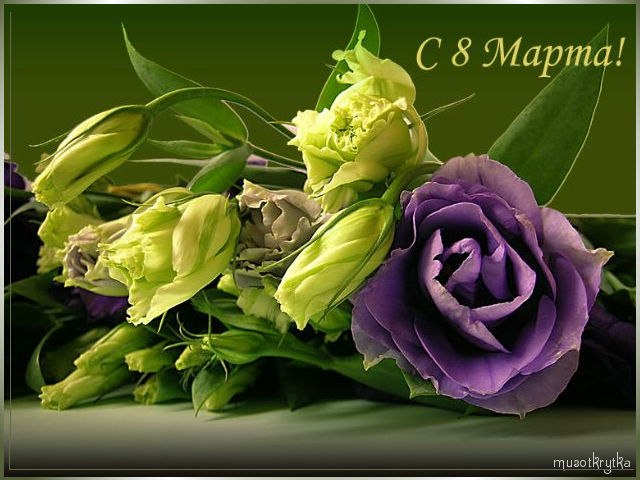 Дмитрий Неберов | Гомель