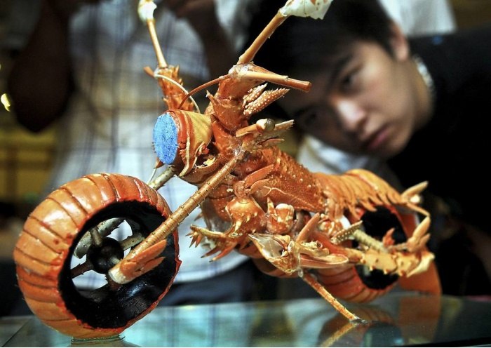 Андрей Рожков | Санкт-Петербург