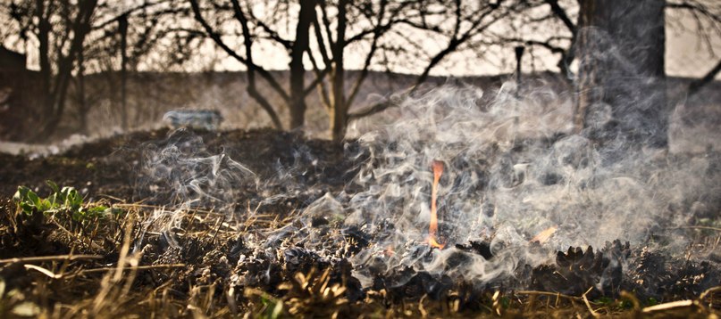 Игорь Галиченко 神奈川沖 | Северская