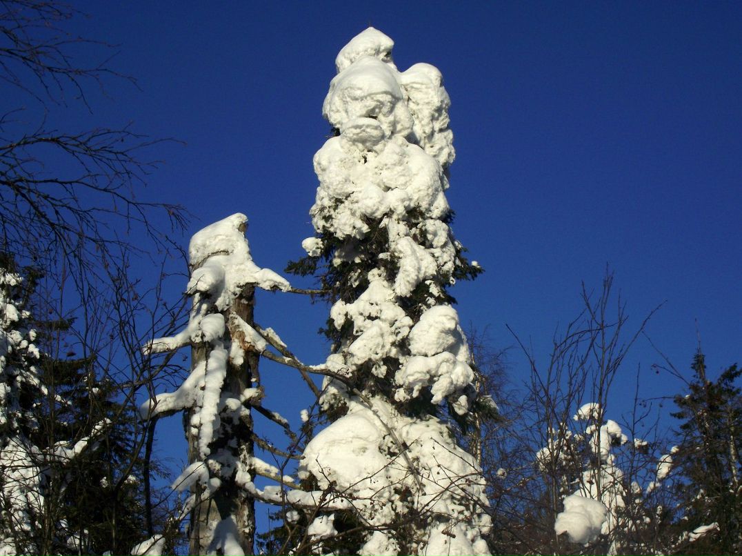 Владимир Бычин | Красновишерск