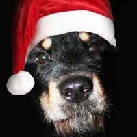 Ксения Добычина | Запорожье