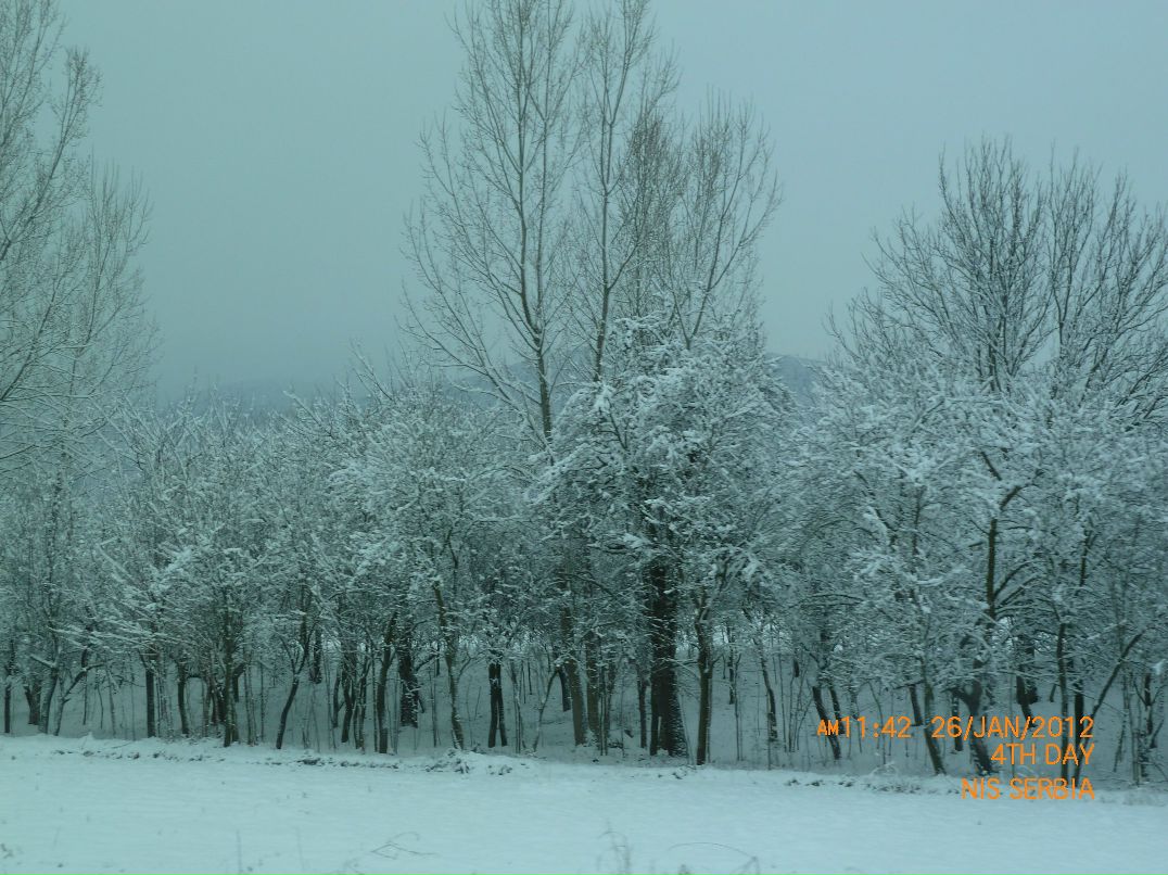 Марина Сойфер | Modi'in-Maccabim-Re'ut