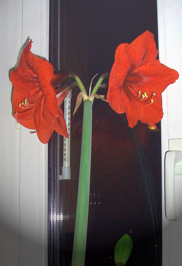 Юлия Заверская | Москва