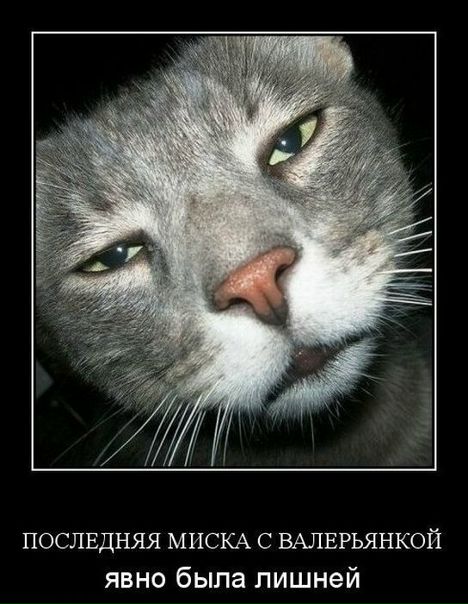 №60, Анастасия Титкова, 36 лет, Москва №60, Анастасия Титкова, 36 лет, Москва