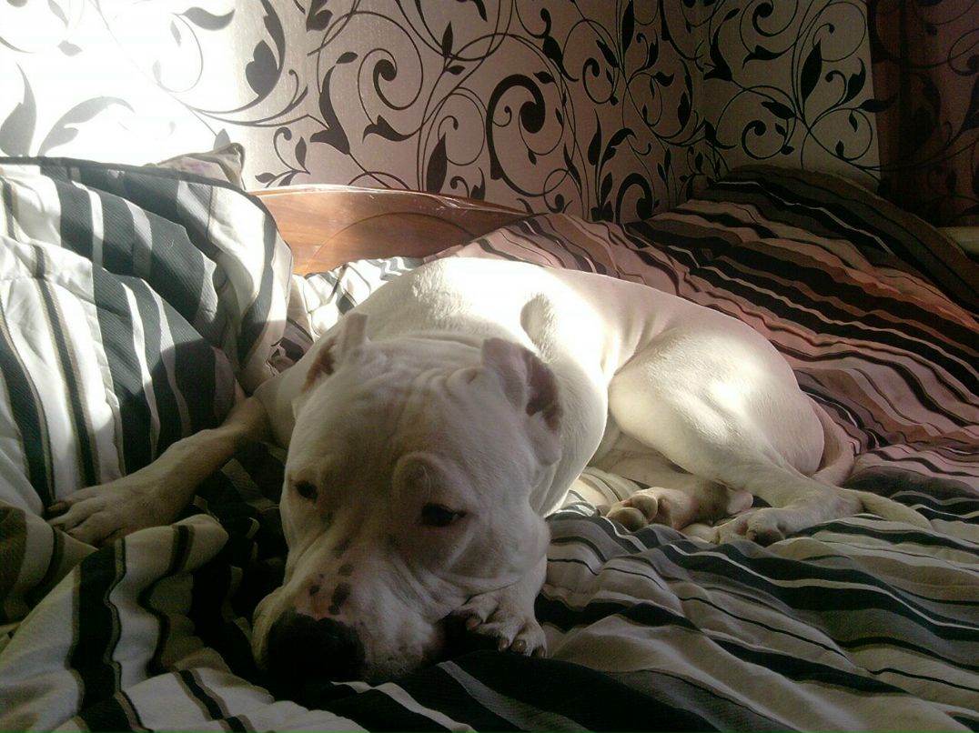 Валентина Мандебура Викторовна | Вороное