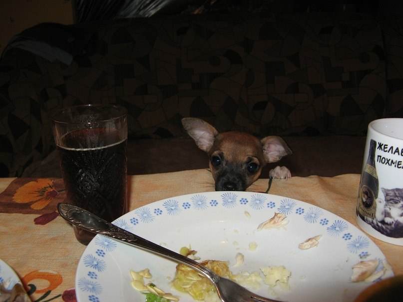 Елена Степанова | Харцызск