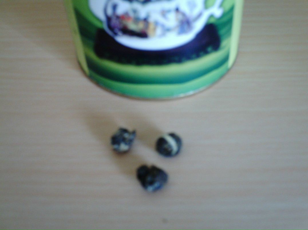 Георгий Кактопох | Кемерово