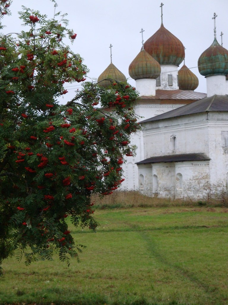 Лидия Бузина | Каргополь