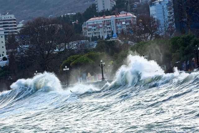 Елисей Бороздин | Ялта