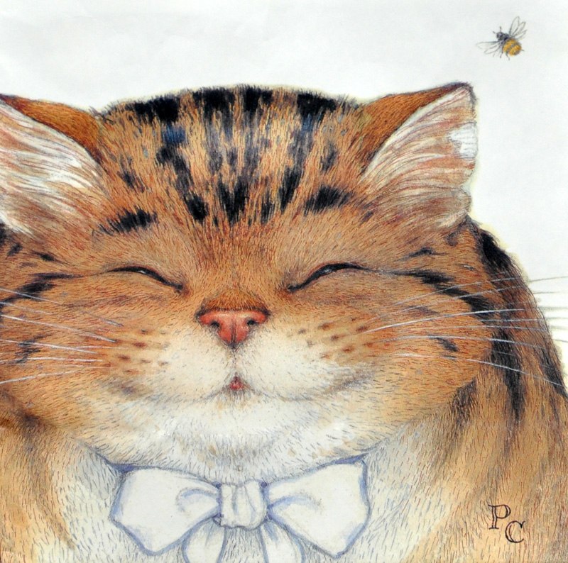 Вейерштрасс Вардагоров | Дмитров